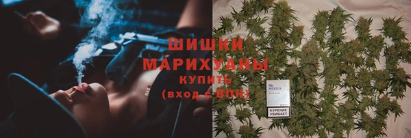бошки Богданович