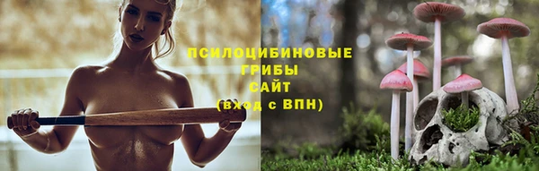 винт Богородицк
