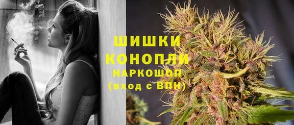 винт Богородицк