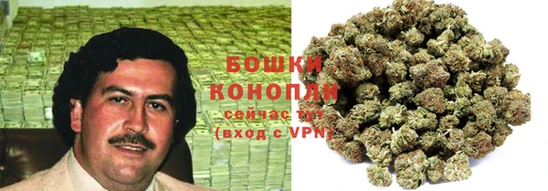 бошки Богданович
