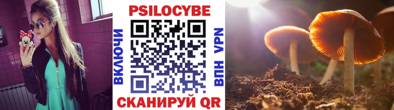 Псилоцибиновые грибы ЛСД  Ковдор 