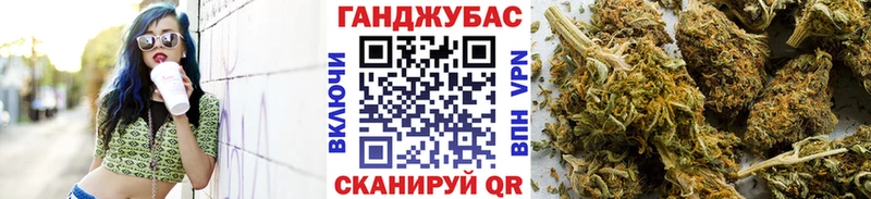 Конопля сатива  Ковдор 